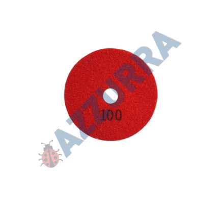 Paduri / dischete diamantate pt. slefuire umeda #100 Ø100mm